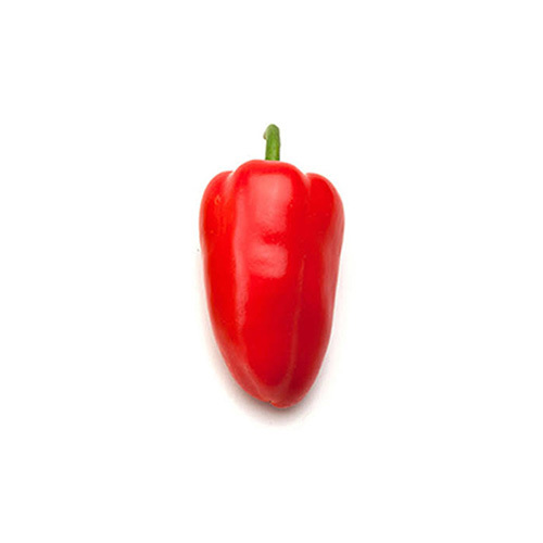 Baby sweet Capsicum ( MIX) - Price Per Packet