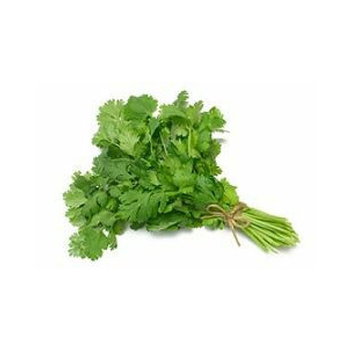 Coriander - 1 wrap(Farm grown product)