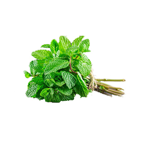 Mint leaves - Wrap(Farm grown product)