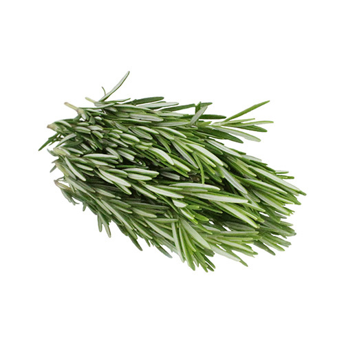 Rosemary - Holland - Holland - 100 Grams Bunch