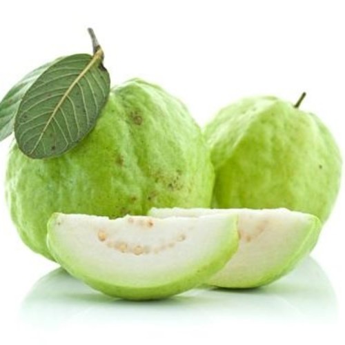 Thai Guava - Thailand - Price Per Kg