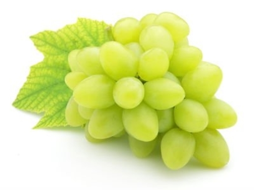 Green Seedless Grapes (cotton candy) - Spain - Price Per Packet
