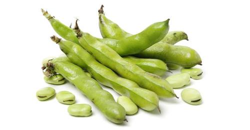 Broad Beans - Price Per Kg