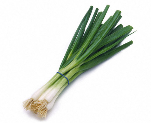 Green Onion