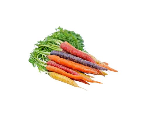 Rainbow Carrots