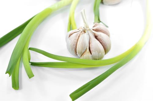 Kuwaiti Garlic - Price Per Wrap