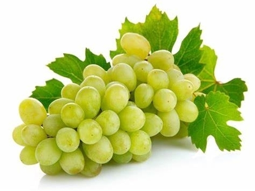 Green Grapes - Turkish - Price per kg