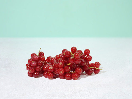 Red Currants - Holland - Price Per Packet