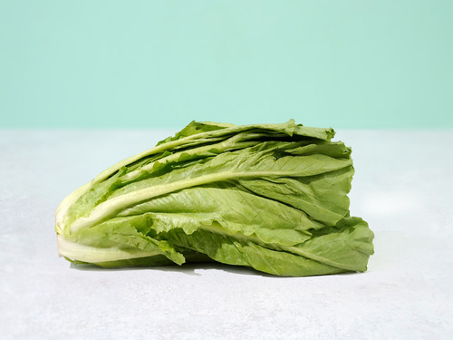 Long Lettuce - lebanon - price per KG
