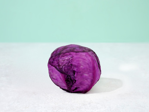 Red Cabbage - Jordan - price per KG