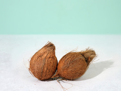 Coconut - India - price per piece