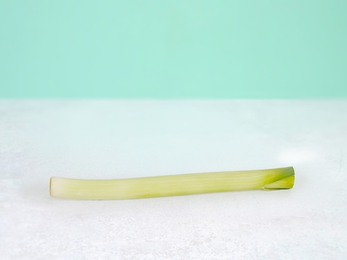 Leek - Holland - price per KG