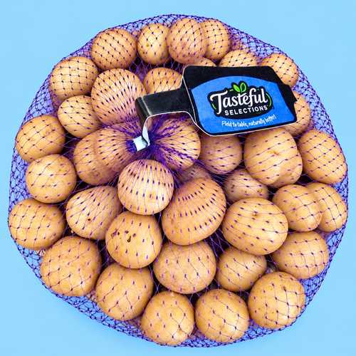 Baby Potato white - USA