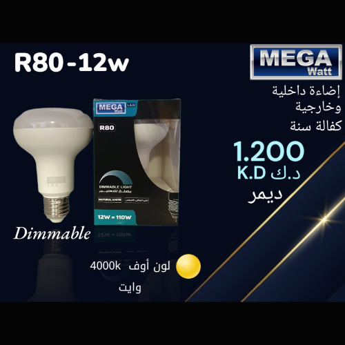 إضاءة داخلية و خارجية R63-12w - كفالة سنة ، ديمر