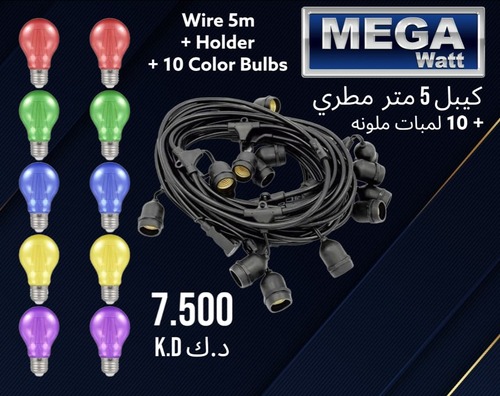 Outdoor Wire 5 m + 10 color bulbs