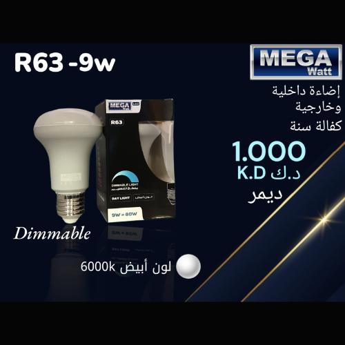 Indoor and Outdoor Lighting R63-9w