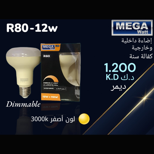Indoor and Outdoor Lighting R63-12w