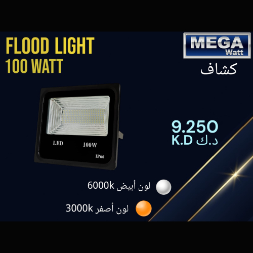 Flood Light