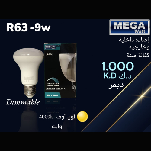 Indoor and Outdoor Lighting R63-9w