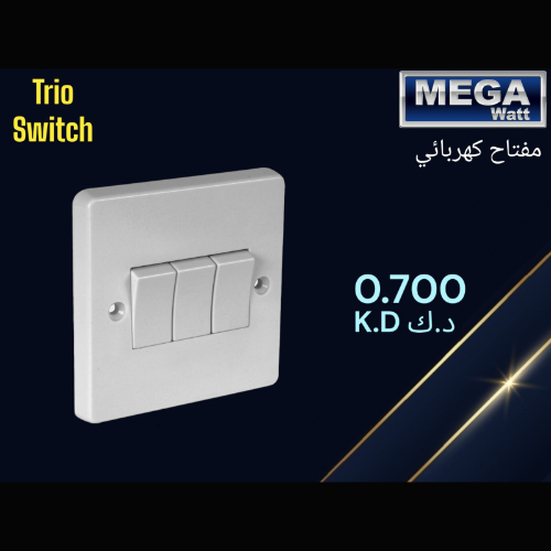 Electric Switch