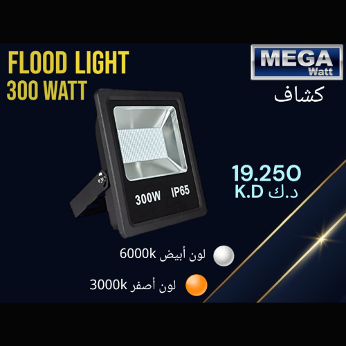 Flood Light