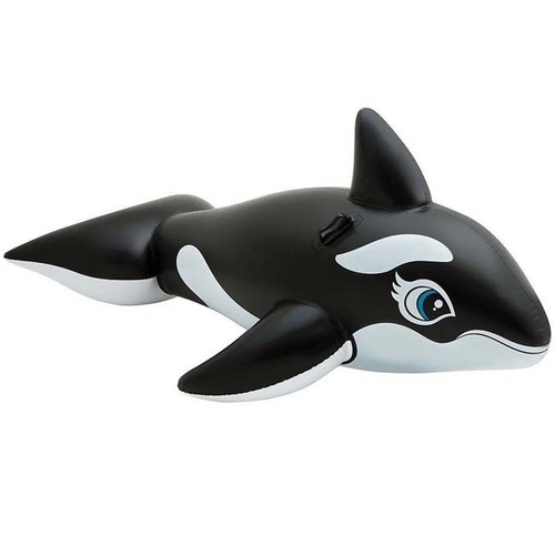 INTEX WHALE RIDE-ON 193x119CM - Cool off in the pool with an Intex Whale Ride-On! This inflatable ride-on features 2 heavy duty handles as well as a fun design that will make your pool the place to be this summer!