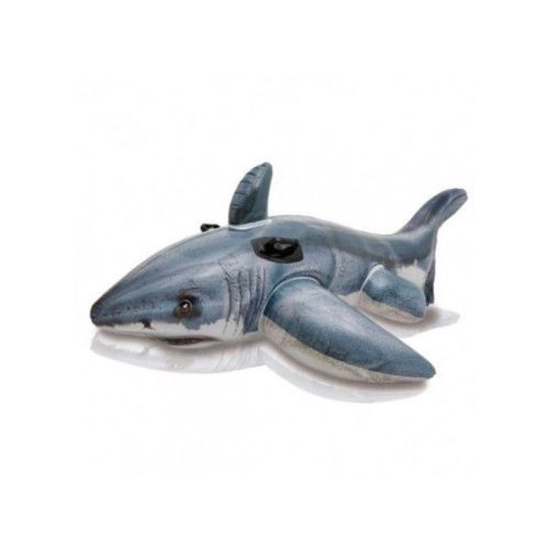 GREAT WHITE SHARK