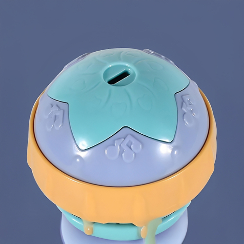 Little Singer Microphone