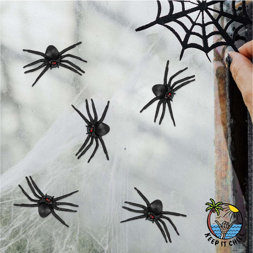 Spider