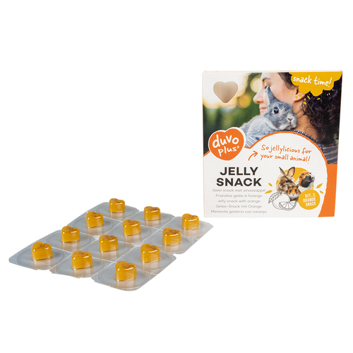Jelly snack with orange