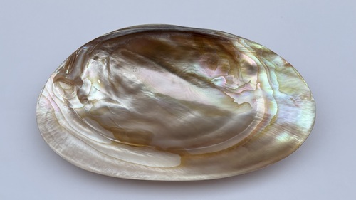 Purple pearl bowl - 17cm