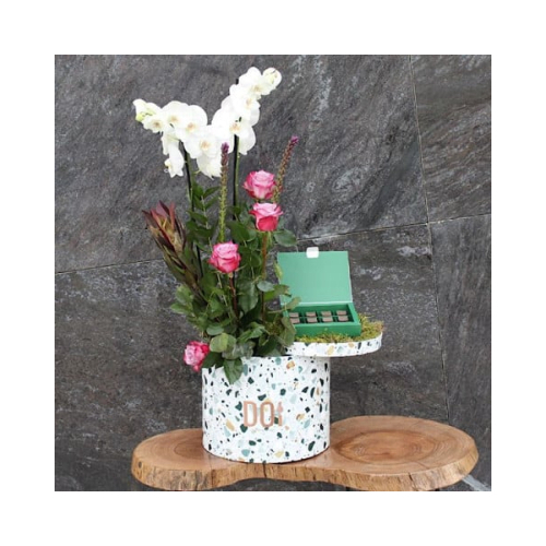 Paja - Terrazzo box contains white orchid, purple roses, safari flowers and green leaves with box of chocolates. Height: 60cm Width: 45cm