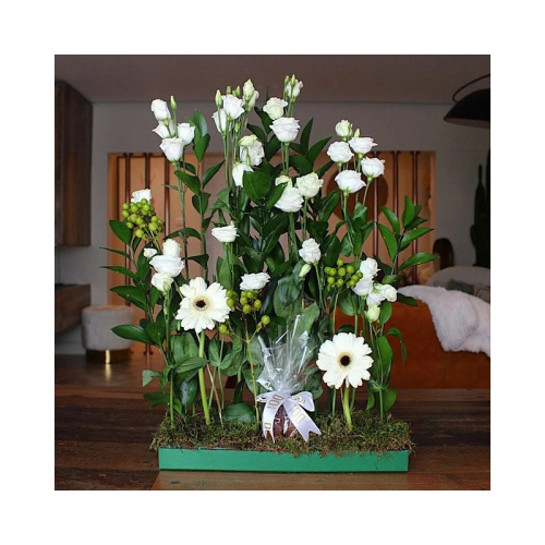 Doi Kwt  - Alyson - Tray contains white eustoma, green hypericum, white gerbera, green leaves with chocolates. Height: 50cm Width: 35cm