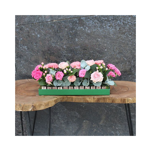 Tembo - A tray with pink baby roses and fuchsia baby roses with chocolate, Height: 40cm Width: 35cm Sell by: Quantity