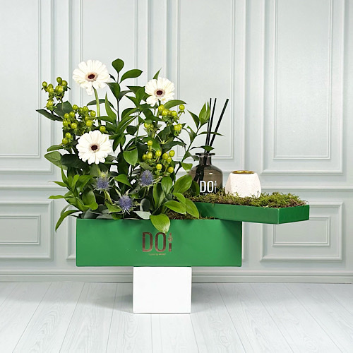 Special - Green box contains white grabera, green hypericum, green leave, with tray contains diffuser and mubkhar.Height: 50cm Width: 50cm