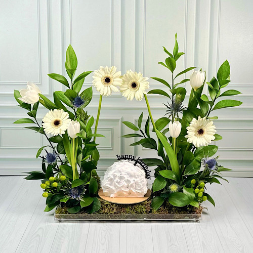 Doi Kwt  - vanilla - Acrylic tray contains White Gerbera, White Tulip, Blue Eryngium, Green Hypericum and green leaves with happy birthday cake.Height: 50cmWidth: 40cm