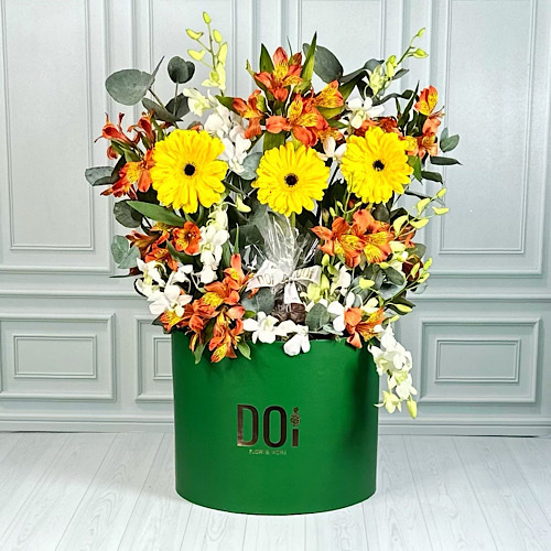 Sapphire - Green box contains yellow gerbera, orange alstroemeria, white baby orchid and green leaves with chocolate.
Height: 80cmWidth: 50cm