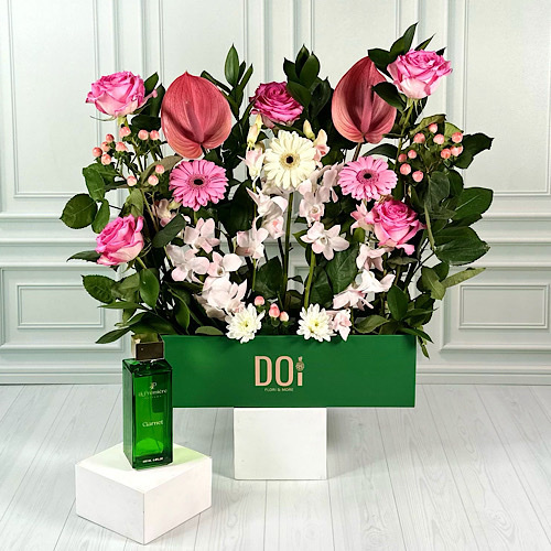 Doi Kwt  - Garnet - Green box contains pink anthurium, pink hypericum, pink and white gerbera, pink baby orchid, white chrysanthemum and green leaves with French perfume.
Height: 55cmWidth: 50cm