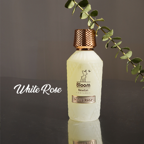 White Rose - 