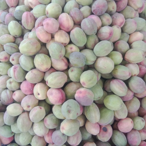 حبان داخل احمر