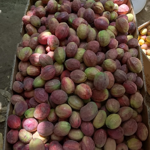 لوز حبان ملون