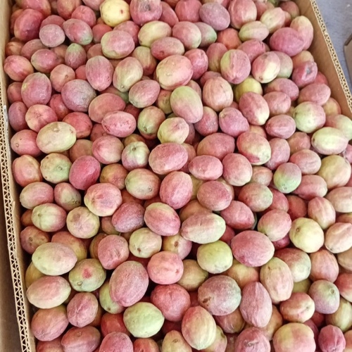 لوز حبان مسمشي
