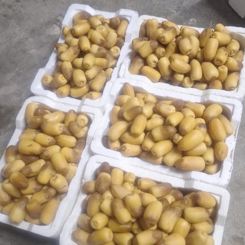 رطب غرّه
