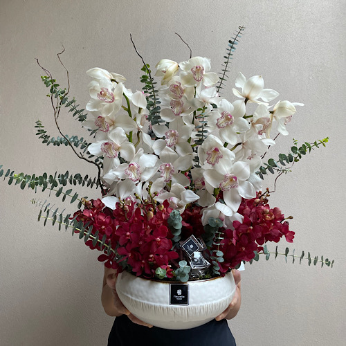 Life in Bloom - Arrangement of cymbediums and red mokara with chocolates in a ceramic white vase 
 L 30cm * H 65cm*Flower kind and color may slightly
differ based on availability.