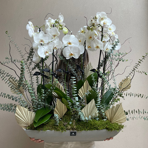 Fleurette - Grande Orchids I - 3 orchids arranged in a rectangular sandstone pot 
 L 57cm * H 80cm*Flower kind and color may slightly
differ based on availability.