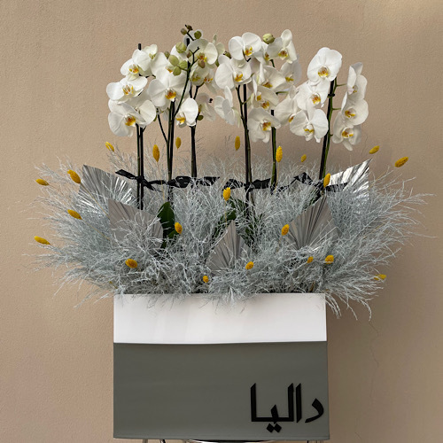 Dalia's orchids - 3 orchids arranged in a white rectangular box with grey leather *Write the desired name in the message box 
 L 45cm * H 95cm*Flower kind and color may slightly
differ based on availability.