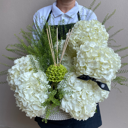 White Clouds - An arrangement of white hydrangeas with Riccio Caprese diffuser in a concrete vase*Flower kind and color may slightly
differ based on availability.