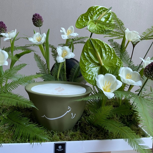 Tropical garden