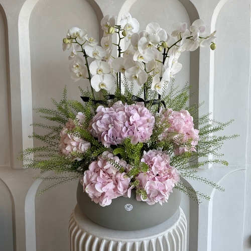 Orchid tutus - 2 orchids surrounded with pink hydrangeas in a round sandstone pot*Flower kind and color may slightly
differ based on availability.