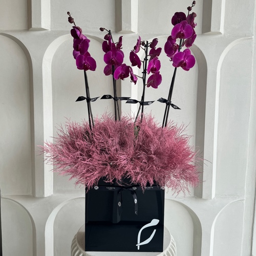 Hala's Orchids - 2 purple orchids in a tall black rectangle box *Write the desired name in the message box 
 L 30cm * H 95cm*Flower kind and color may slightly
differ based on availability.